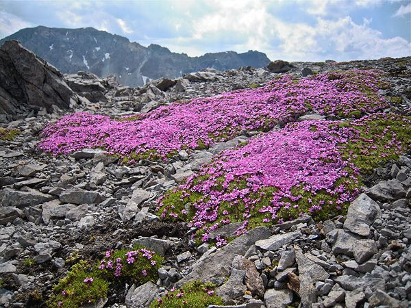 Quần đảo Svalbard ở vùng Bắc Cực. Suốt 6 tháng trong năm, quần đảo chìm trong bóng tối vì trục nghiêng của Trái Đất.