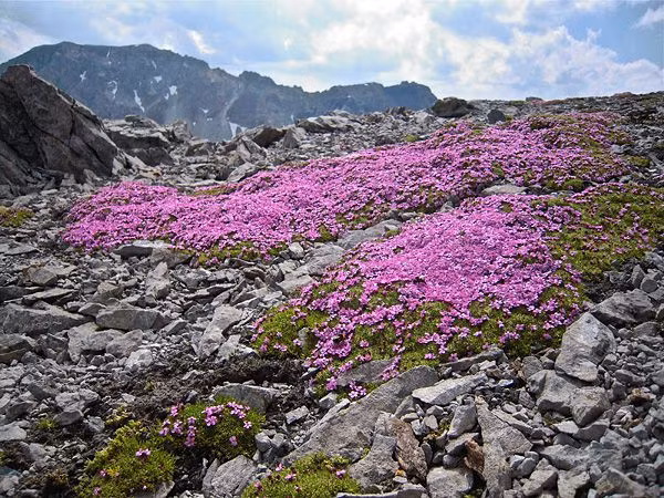 Quần đảo Svalbard ở vùng Bắc Cực. Suốt 6 tháng trong năm, quần đảo chìm trong bóng tối vì trục nghiêng của Trái Đất.