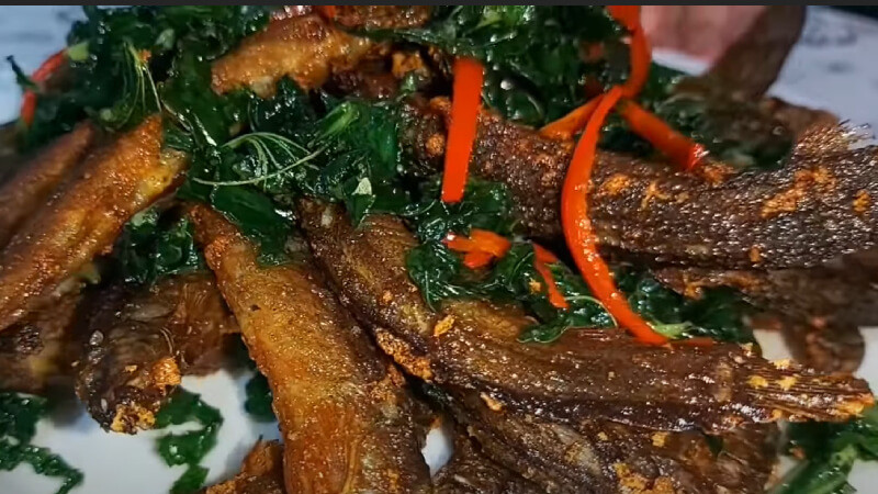 Vì vậy, loài nhân sâm nước này là món ăn tốt cho người suy dinh dưỡng, dùng sau ốm đau, bệnh tật.