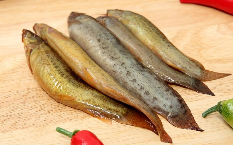 Theo Đông y, cá chạch có vị ngọt, tính bình, bổ dương, viêm gan, vàng da, mụn nhọt, lở loét, suy giảm tình dục ở nam giới, rối loạn xuất tinh. Người mắc bệnh gan thận mạn tính ăn cá chạch rất tốt.