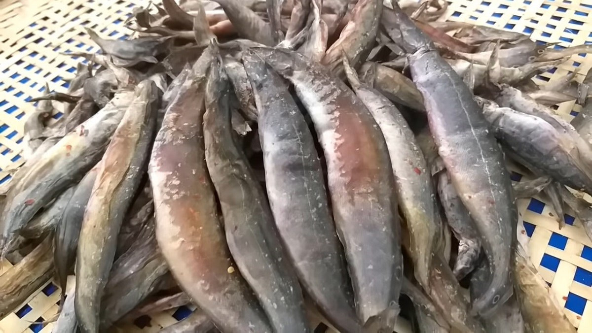 Khô cá chạch là một loại đặc sản thơm ngon của miền Tây sông nước hữu tình. Cá chạch sau khi được ướp muối sẽ đem đi phơi nắng trong khoảng 2 - 3 ngày để thịt cá săn lại. Sau đó, có thể chế biến thành món nướng hoặc chiên đều tuyệt hảo.