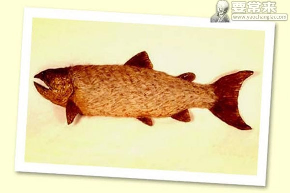 Hiện vẫn chưa rõ nguyên nhân chính xác khiến một số loài cá mọc lông như động vật nhưng rõ ràng hình ảnh của các loài cá kỳ lạ này khiến mọi người ngạc nhiên, tò mò.