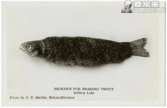 Đồng thời, cũng làm đau đầu các nhà khoa học khi chưa tìm ra lời giải.