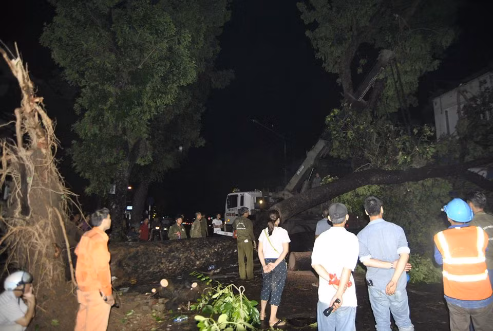 Cây đổ, cột điện đổ khiến cho công tác khắc phục hậu quả sau mưa giông gặp rất nhiều khó khăn.