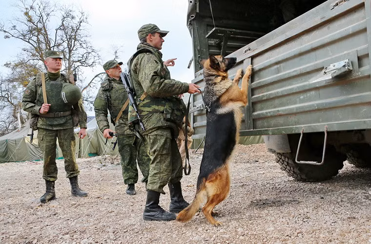 Ngoài các loại máy móc chuyên dụng thì những chú chó nghiệp vụ cũng là trợ thủ đắc lực cho các binh sĩ Nga.