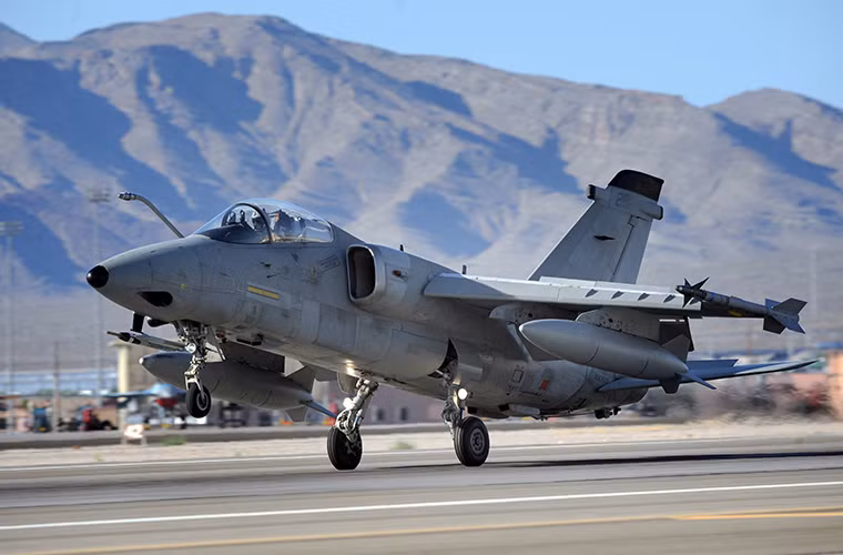 Tuy được xếp vào dòng máy bay chiến đấu đa nhiệm nhưng AMX lại được thiết kế thiên về khả năng tấn công mặt đất, mặc dù nó chỉ có thể mang theo số lượng vũ khí hạng chế khoảng 3.8 tấn vũ khí các loạt với 5 giá treo trên thân. Hệ thống vũ khí chính của AMX vẫn là các loại tên lửa tấn công mặt đất hoặc bom dẫn đường thông minh, nó cũng có thể được trang bị tên lửa không đối không tầm ngắn đề phòng vệ.