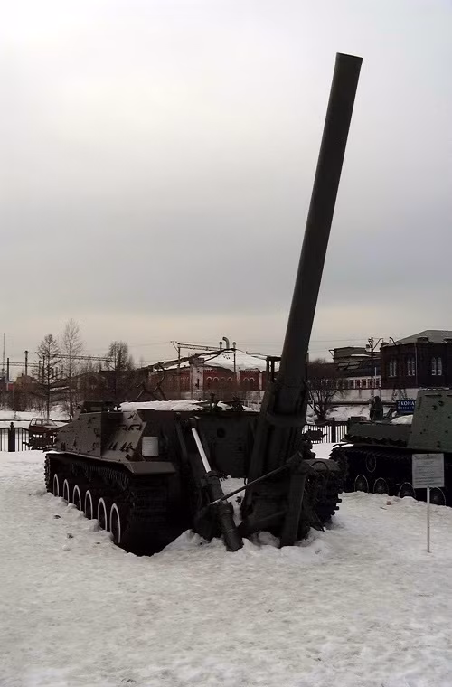 2S4 Tyulpan được thiết kế để có thể phá hủy các công trình quân sự kiên cố của đối phương thậm chí là các tòa nhà cao tầng, trung tâm chỉ huy, trận địa pháo hay tổ hợp tên lửa hay một số mục tiêu khác không thể tiếp cận bằng các loại pháo thông thường.