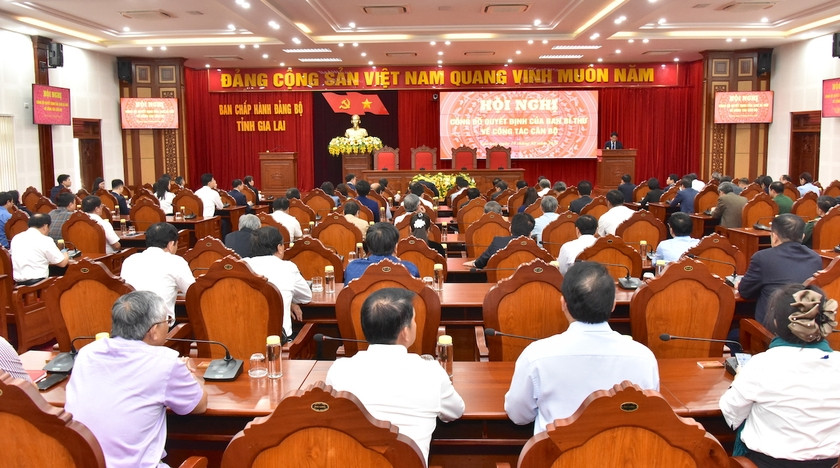 Chi dinh ong Nguyen Tuan Anh tham gia BCH Tinh uy Gia Lai-Hinh-2