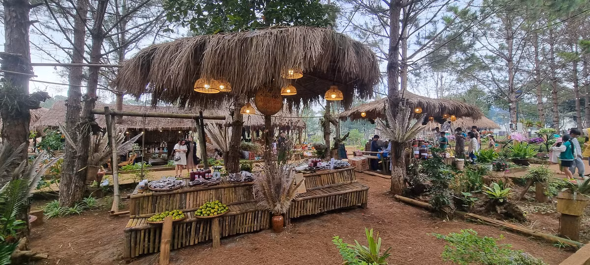 Kon Tum: Lung linh “Mang Den-Thien duong hong”-Hinh-4