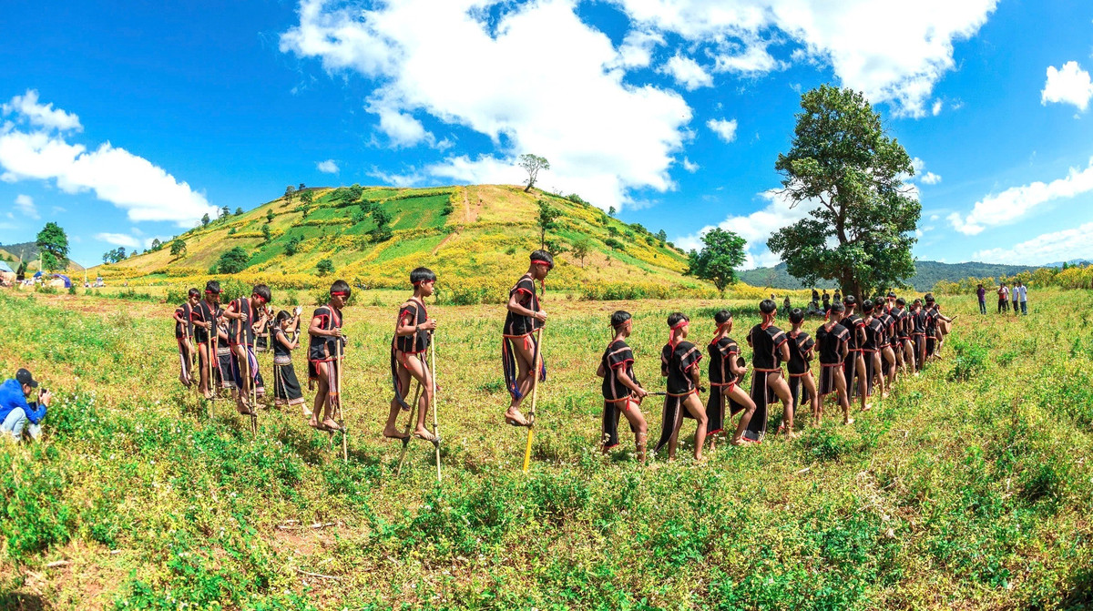 Gia Lai đề nghị tăng chuyến bay phục vụ lễ hội Hoa Dã quỳ Gia Lai de nghi tang chuyen bay phuc vu le hoi Hoa Da quy