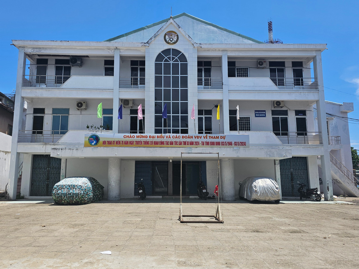 Những sai phạm cần làm rõ tại Đội bóng ném nữ Bình Định Nhung sai pham can lam ro tai Doi bong nem nu Binh Dinh