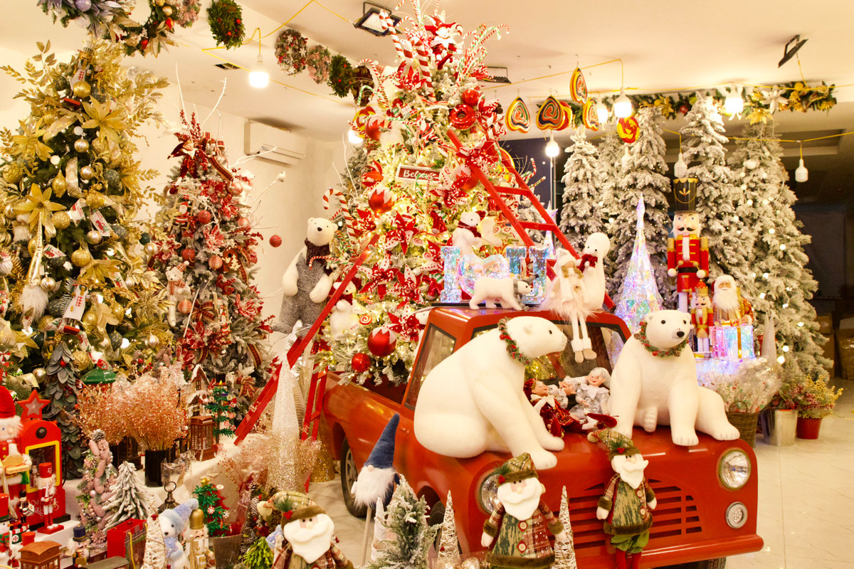 Những cây thông cỡ lớn có giá lên tới hàng chục triệu đồng.