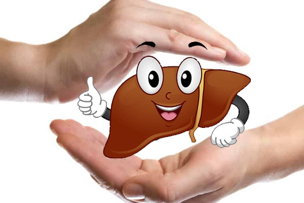 Các dưỡng chất thiết yếu như đạm, chất béo, tinh bột đều được gan chuyển hóa thành năng lượng phục vụ các hoạt động hàng ngày. Có thể ví gan như một “trạm trung chuyển năng lượng” nuôi dưỡng cơ thể. Ảnh minh họa