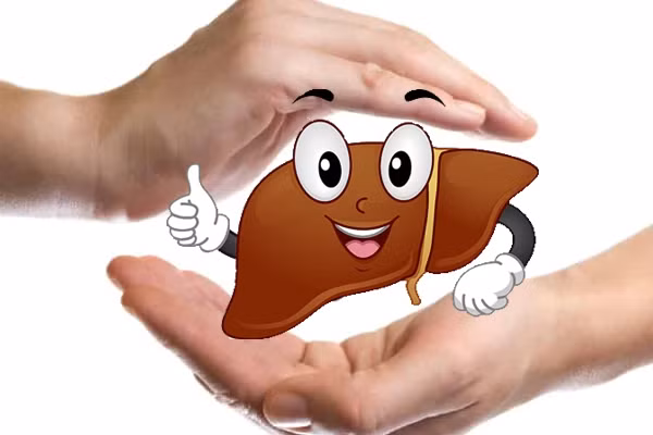 Các dưỡng chất thiết yếu như đạm, chất béo, tinh bột đều được gan chuyển hóa thành năng lượng phục vụ các hoạt động hàng ngày. Có thể ví gan như một “trạm trung chuyển năng lượng” nuôi dưỡng cơ thể. Ảnh minh họa