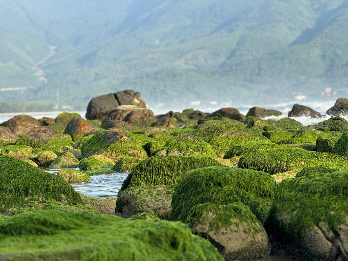 Ghềnh đá Nam Ô dài khoảng 500m, nhô ra biển, nơi những lớp đá ngầm ẩn mình dưới làn nước biển trong xanh. Các tảng đá nổi với đủ hình dáng, kích thước được phủ bởi lớp rêu xanh mướt, tạo nên một cảnh tượng vô cùng ấn tượng. Ảnh Ngọc Hân