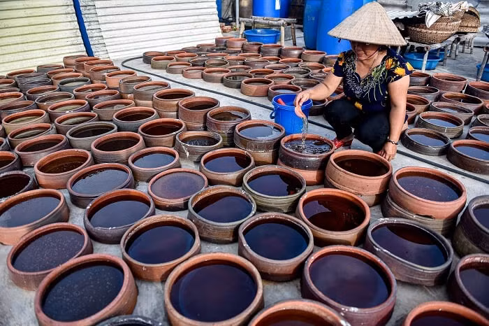 Ngoài ra, nơi đây còn có làng nghề nước mắm Nam Ô đã tồn tại trên 400 năm. Năm 2020, làng nghề nước mắm này được vinh danh là Di sản văn hóa phi vật thể quốc gia. Ảnh Internet
