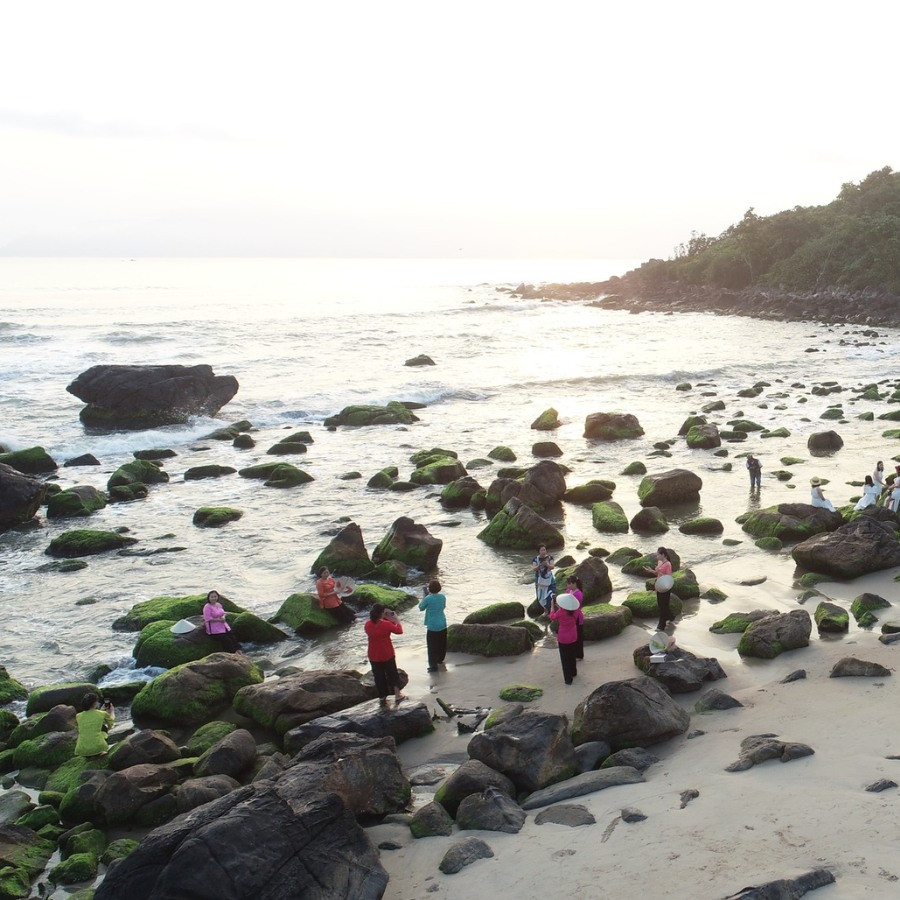 Mùa rêu tại biển Nam Ô thường mọc trong vòng khoảng 2 - 3 tuần rồi tàn. Do vậy, những ngày qua, có rất đông người dân và du khách đổ xô đến đây để thưởng cảnh, chụp ảnh. Ảnh Internet