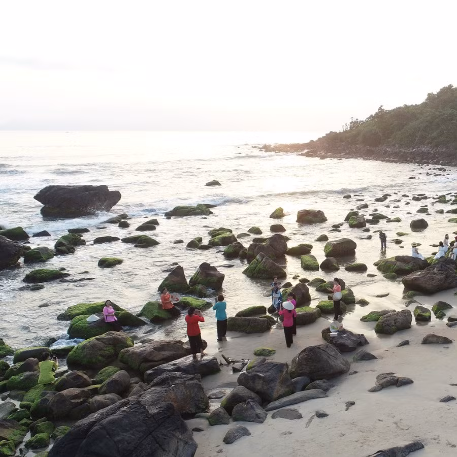 Mùa rêu tại biển Nam Ô thường mọc trong vòng khoảng 2 - 3 tuần rồi tàn. Do vậy, những ngày qua, có rất đông người dân và du khách đổ xô đến đây để thưởng cảnh, chụp ảnh. Ảnh Internet