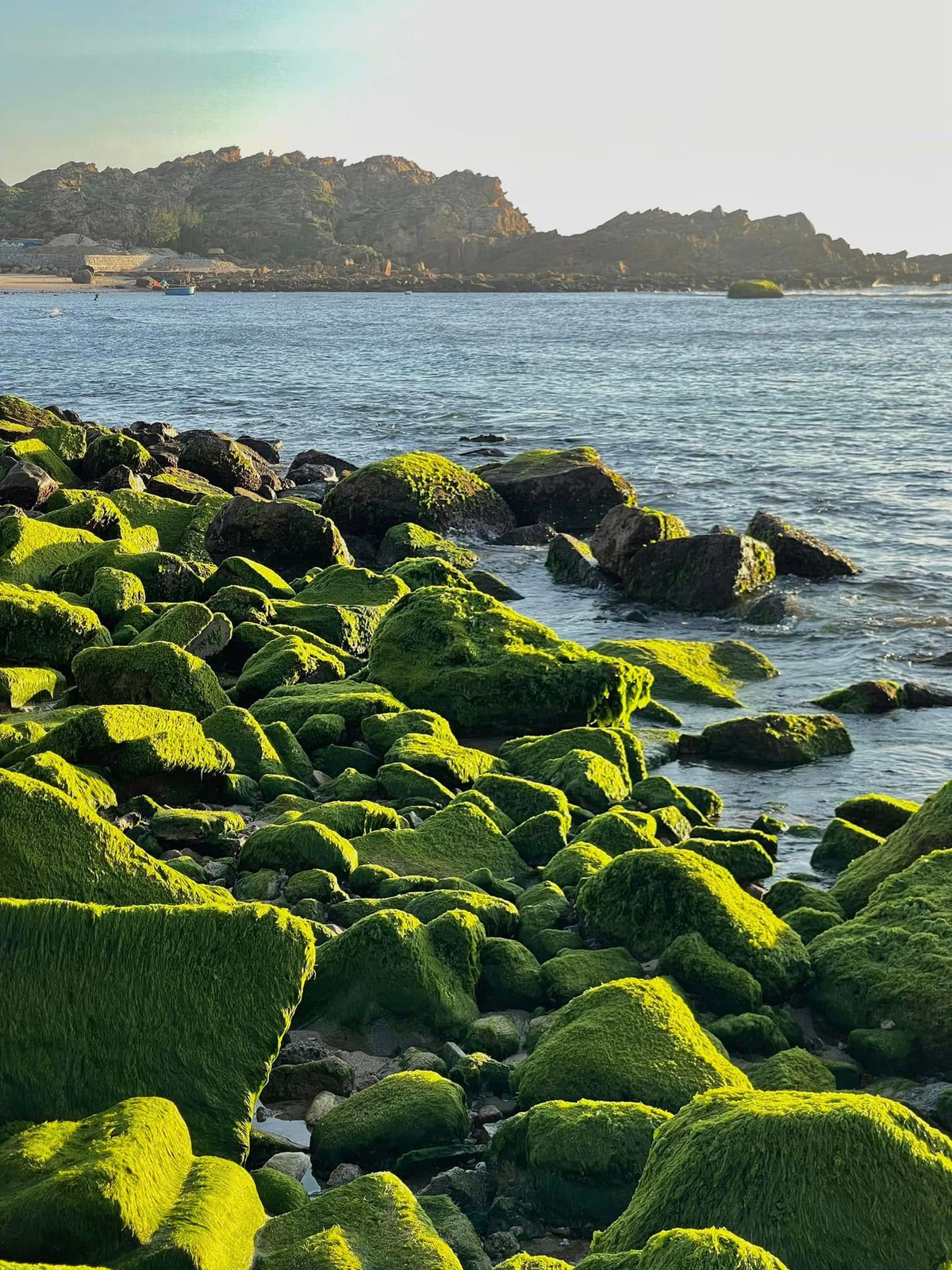 Những tảng đá phủ đầy rêu xanh đẹp ngẩn ngơ. Ảnh Phạm Minh Tuấn