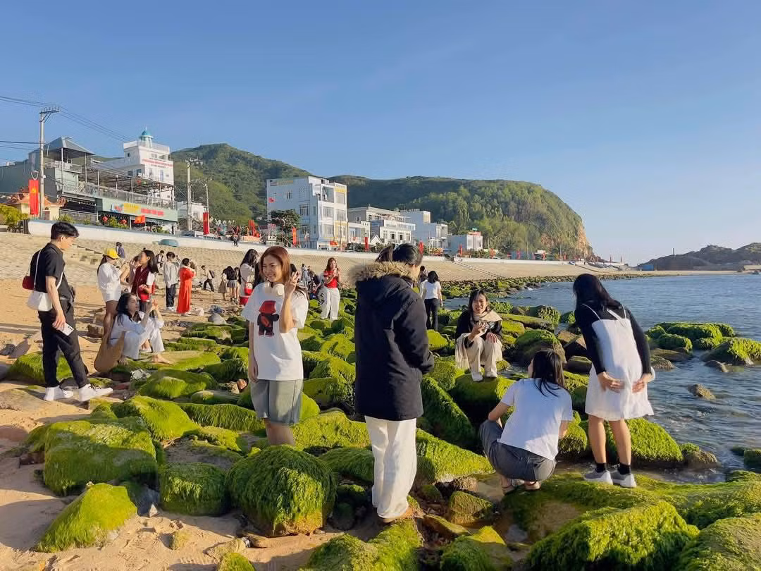 Theo người dân địa phương, rêu xanh năm nay xuất hiện sớm hơn, thường từ cuối tháng 2 trở đi. Ảnh Tú Nguyễn Tour