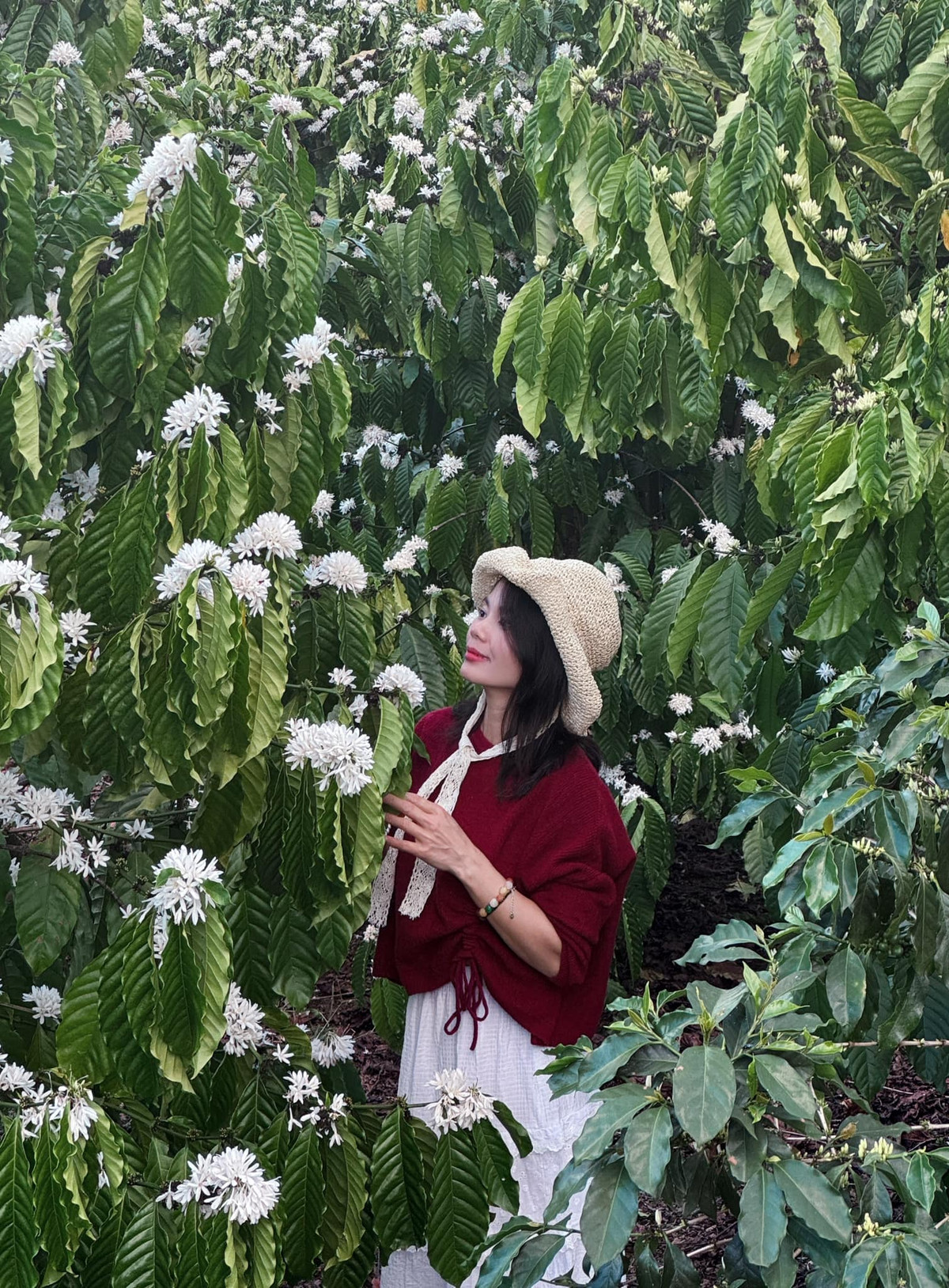 Da dang tour ngam hoa ca phe Tay Nguyen dau thang 3-Hinh-2