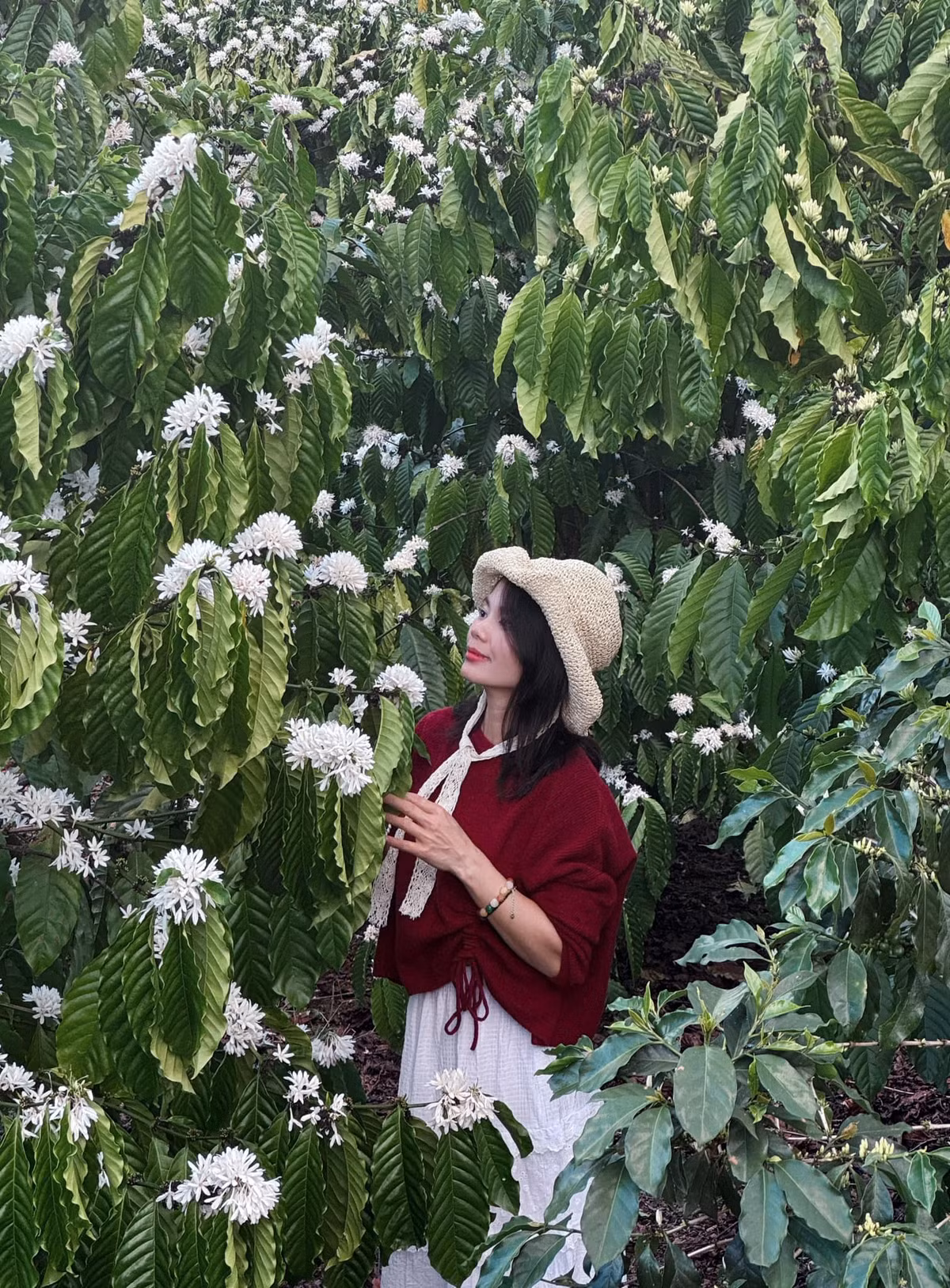 Da dang tour ngam hoa ca phe Tay Nguyen dau thang 3-Hinh-2