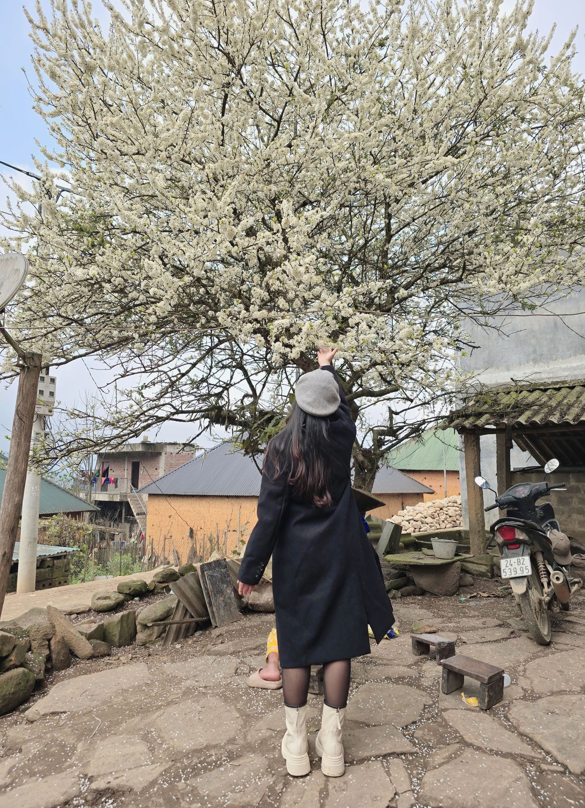 Đến Lao Chải, không chỉ ngắm hoa, du khách còn được hòa mình vào đời sống văn hóa của người Hà Nhì đen.