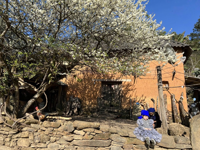 Hãy thêm Y Tý vào hành trình du xuân đầu năm của bạn, cùng chiêm ngưỡng bức tranh thiên nhiên rực rỡ, chắc chắn bạn sẽ có một chuyến du ngoạn đầy ý nghĩa.