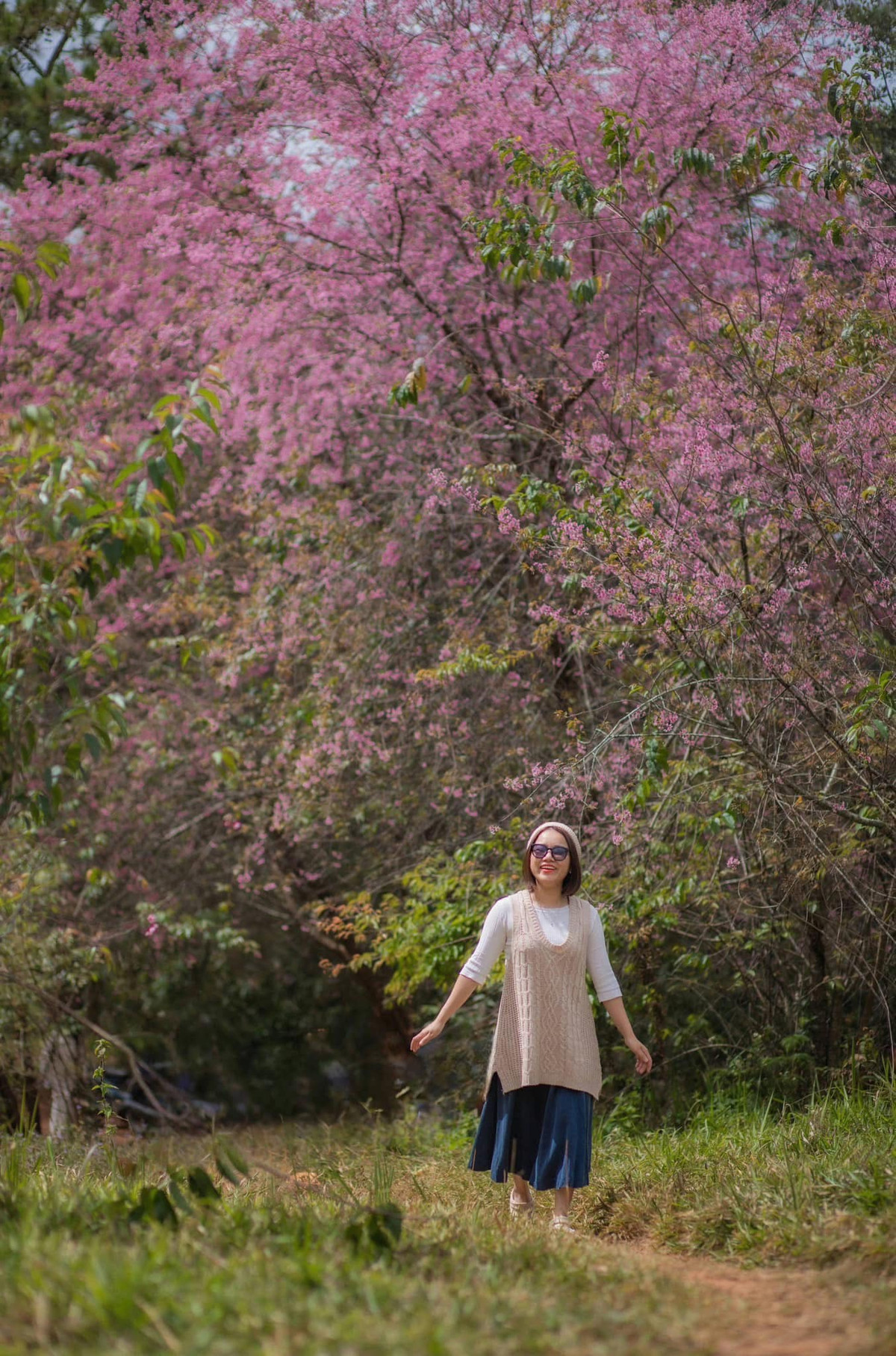 Mặc dù hơi xa và ít người biết đến, nhưng rừng mai anh đào hồ Tuyền Lâm lại sở hữu quang cảnh vô cùng độc đáo và ấn tượng. Ảnh Internet