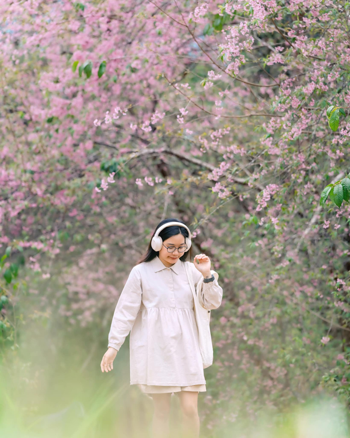 Những con đường hoa anh đào như tô điểm thêm sắc hồng cho thành phố Đà Lạt ngàn hoa, trở thành tâm điểm với những ai yêu thích chụp hình cùng phong cảnh nên thơ, trữ tình. Ảnh Fb Bánh Gạo