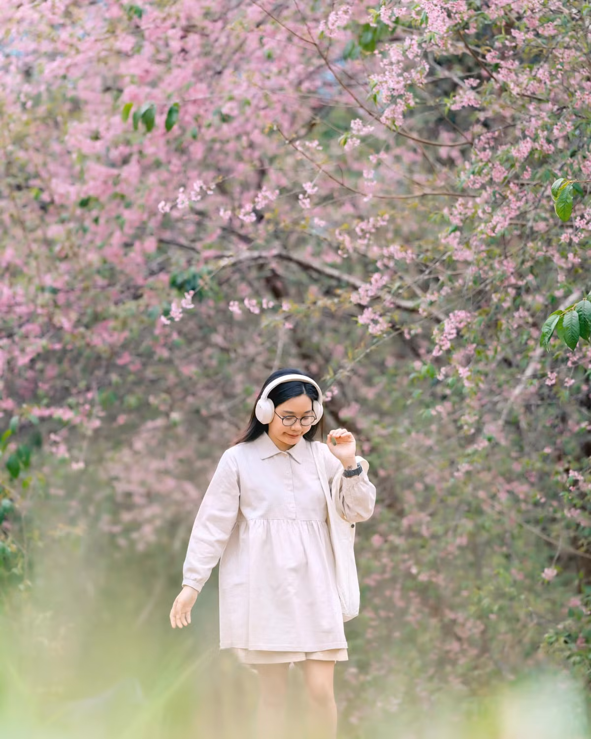 Những con đường hoa anh đào như tô điểm thêm sắc hồng cho thành phố Đà Lạt ngàn hoa, trở thành tâm điểm với những ai yêu thích chụp hình cùng phong cảnh nên thơ, trữ tình. Ảnh Fb Bánh Gạo