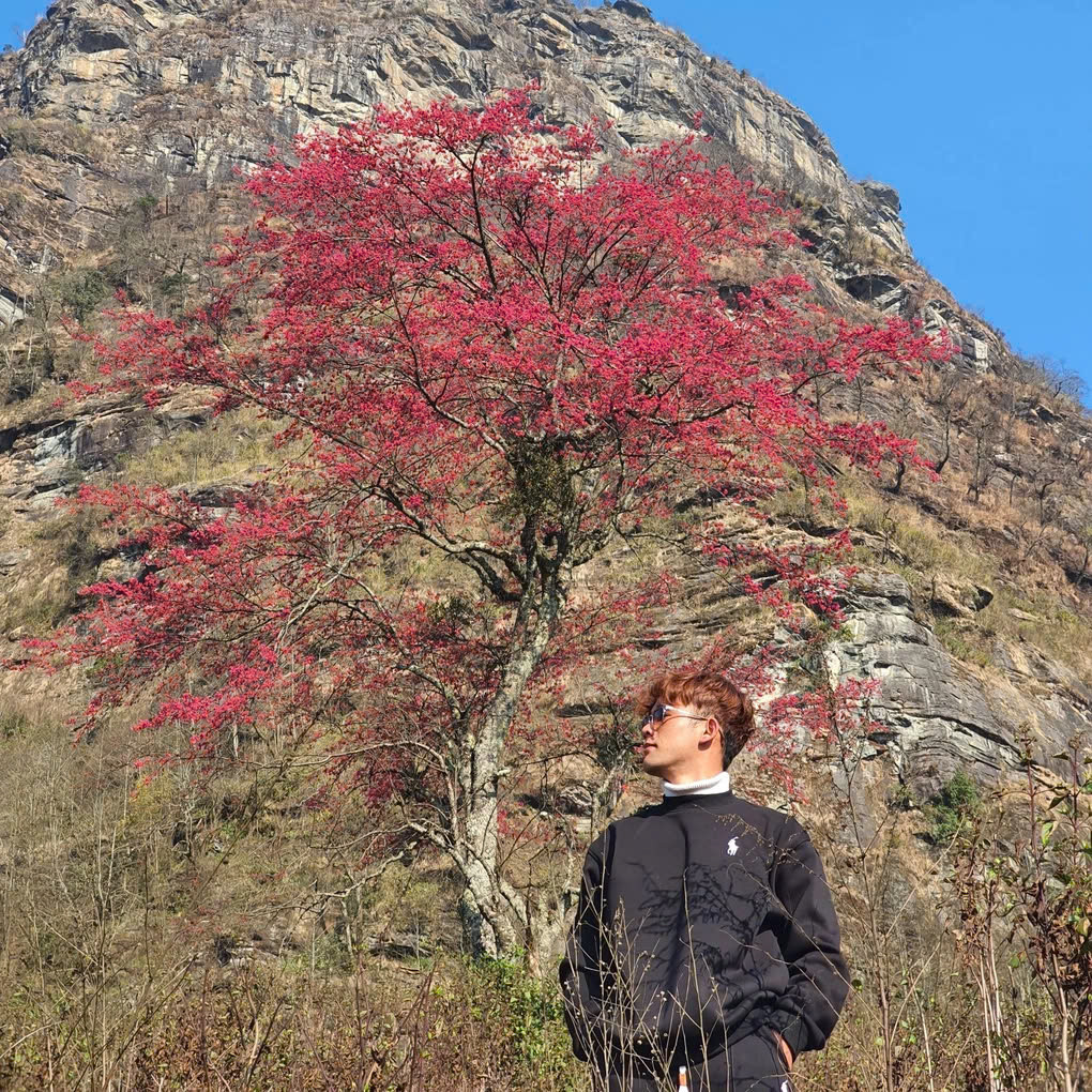 Ngay khi được chia sẻ trên mạng xã hội, "cụ đào" đã nhận được sự quan tâm của cộng đồng mạng, khiến du khách thi nhau hỏi địa chỉ để tới trải nghiệm. Ảnh Ly Xá Xuy