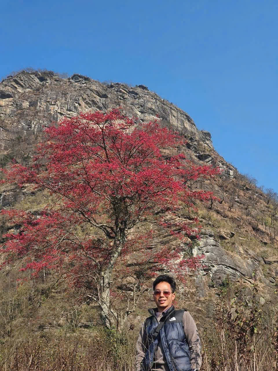 Theo anh Ly Xá Xuy (34 tuổi, Y Tý, Lào Cai), thời điểm này đang là lúc hoa nở rực rỡ nhất nên rất nhiều du khách muốn biết địa chỉ cụ thể để tới chụp ảnh check-in. Ảnh Ly Xá Xuy