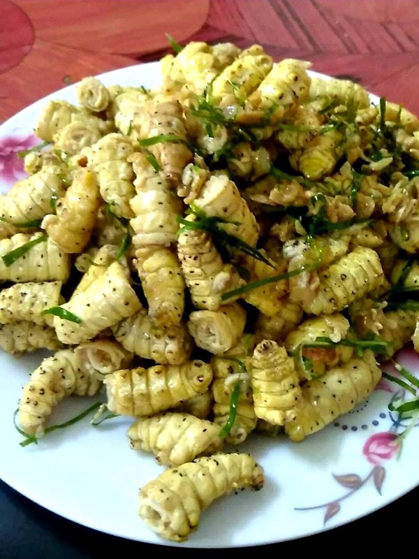 Tằm sắn tươi được xem là món ăn đặc sản ở Việt Nam. Loại tằm thường được nuôi lấy tơ sau khi vào kén sẽ thành những chú tằm sun mũm mĩm, béo tròn. Ảnh Internet