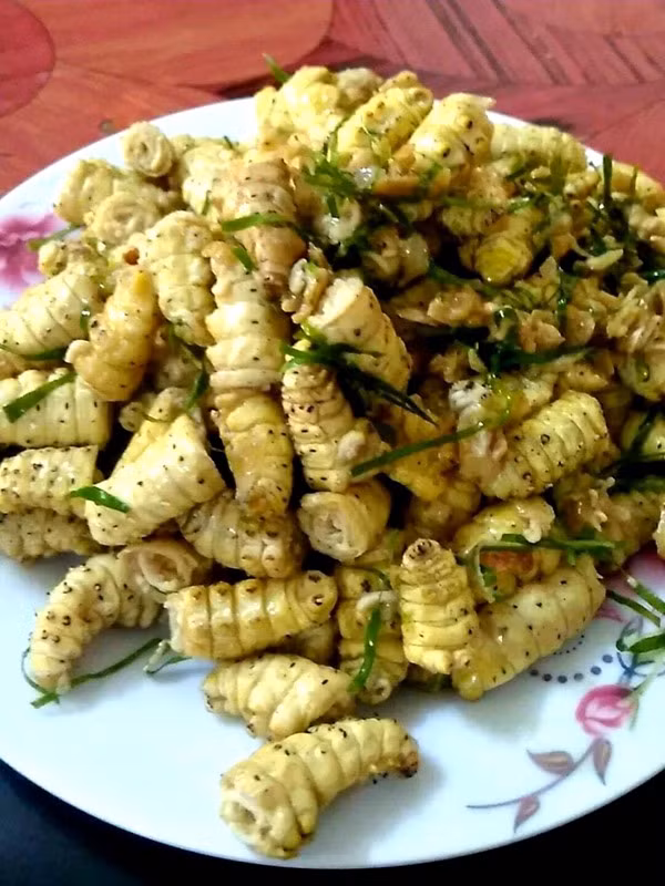 Tằm sắn tươi được xem là món ăn đặc sản ở Việt Nam. Loại tằm thường được nuôi lấy tơ sau khi vào kén sẽ thành những chú tằm sun mũm mĩm, béo tròn. Ảnh Internet