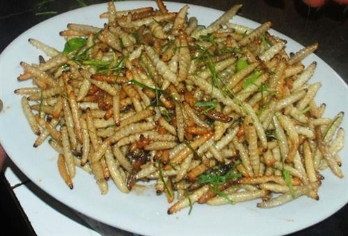 Sâu măng mùa này thường to bằng đầu đũa, thon dài xấp xỉ 2 đốt ngón tay, màu trắng đục. Tuy là món ăn dân dã, nhưng sâu măng khá đắt. Sâu măng xào lá chanh là một trong những món ăn được yêu thích nhất. Ảnh Internet