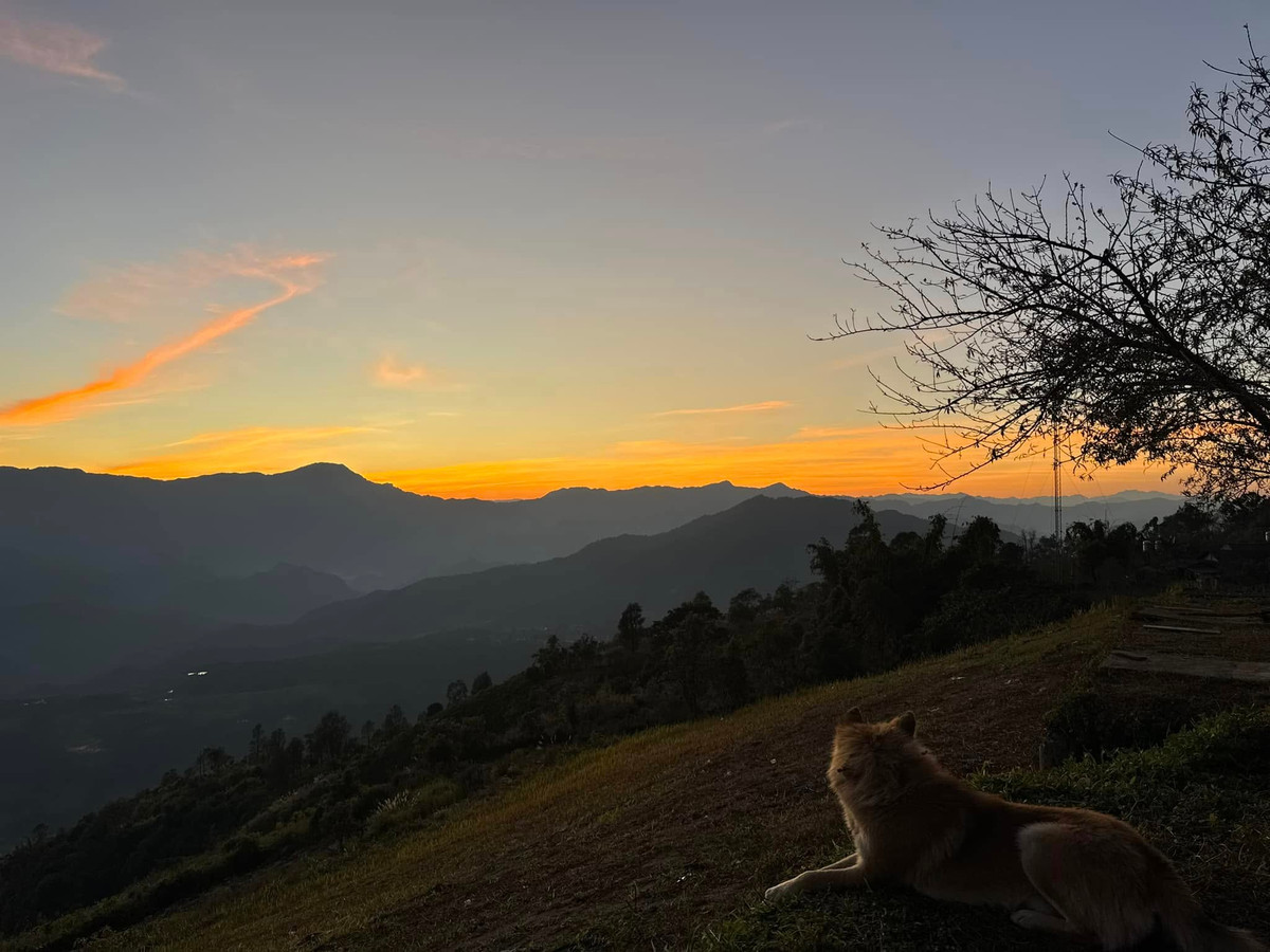 Bao trùm lấy khung cảnh của bản Sì Thâu Chải là vẻ đẹp thanh bình, dịu dàng của núi rừng Lai Châu. Ảnh FB Xuan Mai Tran