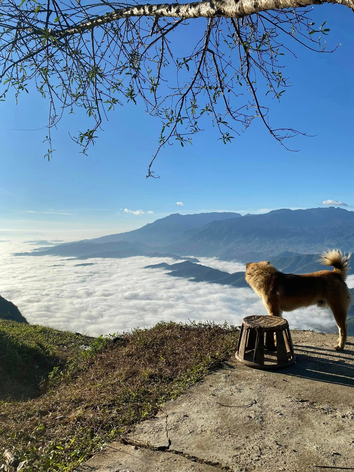 Bản làng tựa như một bức tranh sơn thủy hữu tình giữa lòng đại ngàn, nơi sắc màu và thanh âm hòa quyện. Ảnh Fb Hạnh Phạm