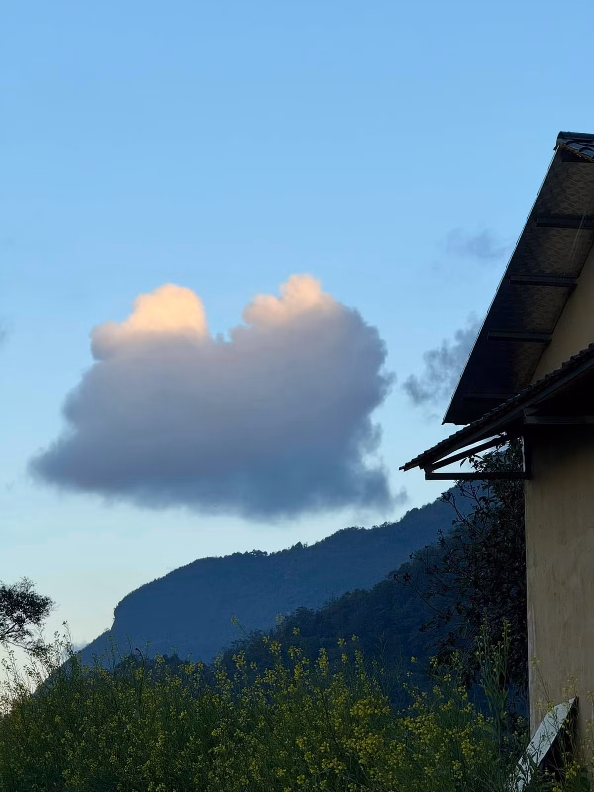 Nơi đây gây ấn tượng với các tín đồ du lịch bởi không gian trong xanh của núi rừng hùng vĩ cùng nhiều vườn cây xinh đẹp. Ảnh Internet