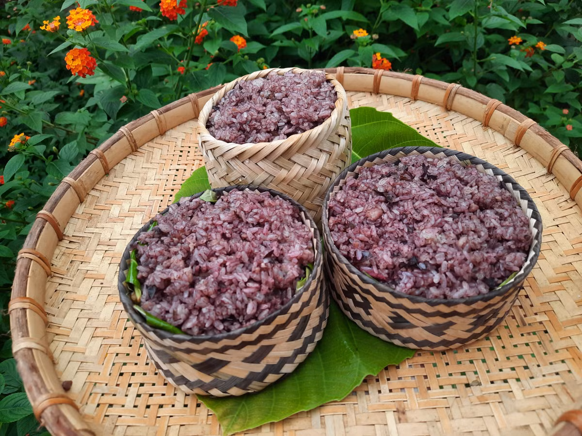 Cứ vào độ cuối thu khoảng tháng 9 - tháng 10 là thời gian thu hoạch trám đen. Trám đen có thể chế biến được nhiều món ngon như: xôi trám đen, trám đen kho cá, trám rang thịt, trám nhồi thịt... Trong đó, xôi trám đen là đặc sản nổi tiếng và được nhiều người biết đến. Ảnh Ỉnternet