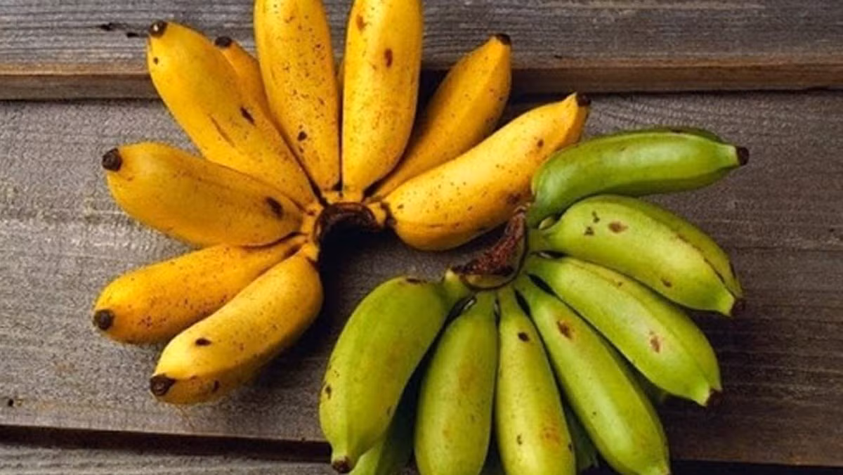  Quả quá già, quá chín: Không nên chọn những loại quả đã quá chín hoặc có tốc độ chín nhanh như chuối chín, đu đủ chín nẫu,… Bởi lẽ, khi bày lên bàn thờ trong thời gian dài, dưới tác động nhiệt của hơi hương, quả sẽ không trưng được lâu, nhanh bị hỏng và thu hút ruồi bọ tới làm ô uế nơi thờ cúng. Ảnh minh họa