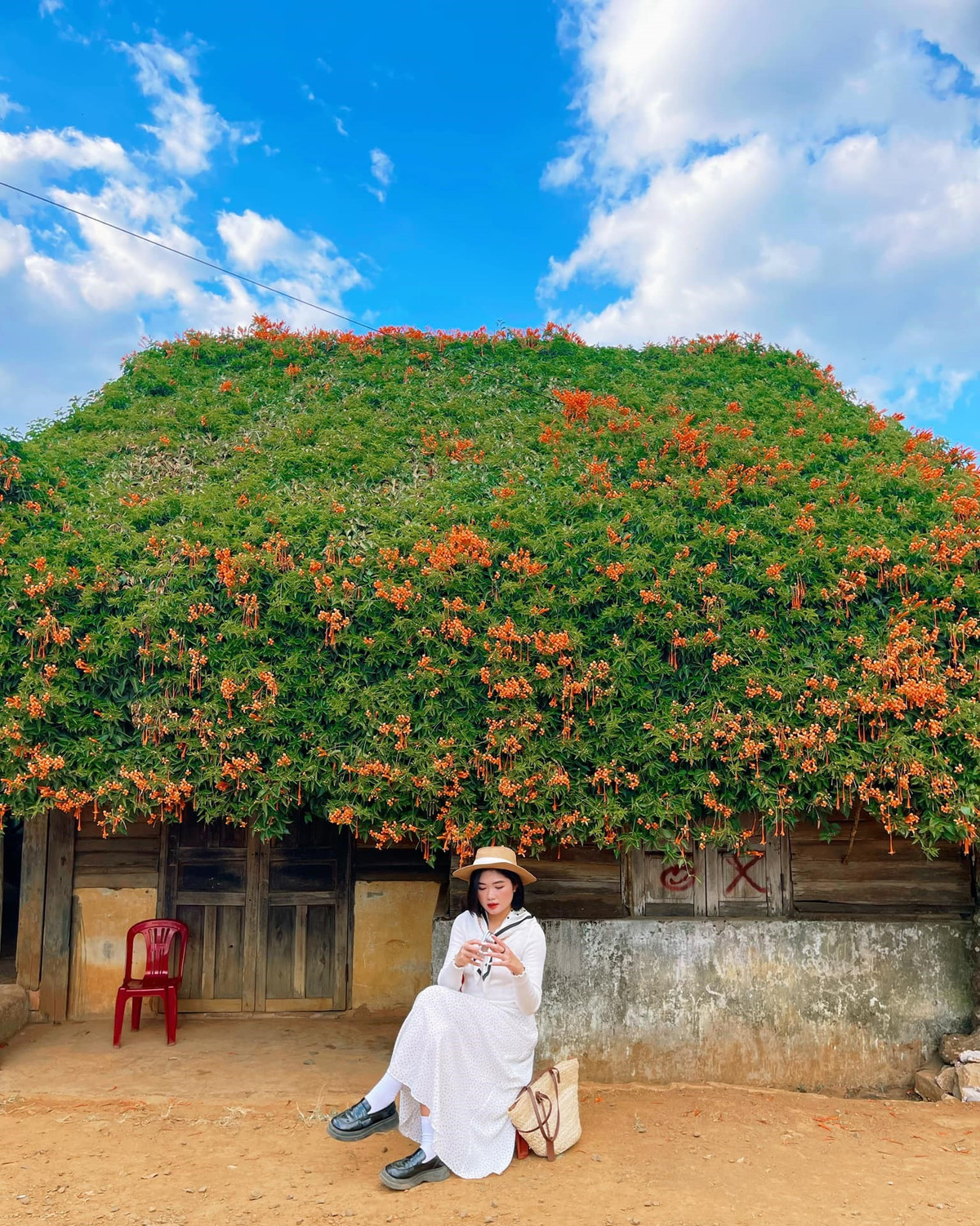 Do màu hoa khá rực rỡ nên du khách có thể lựa chọn trang phục sáng màu như trắng giúp nổi bật hơn. Ảnh Hồ Thiên Nga