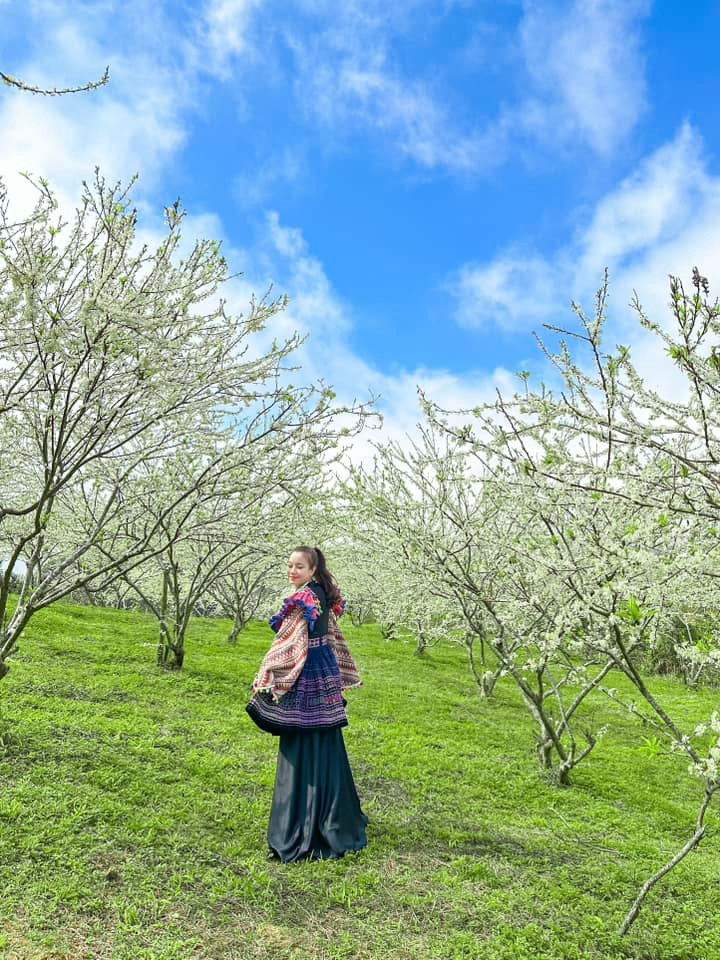 Hoa mận đẹp nhưng cũng chóng tàn. Mùa hoa chỉ kéo dài gần 1 tháng. Ảnh Lagom