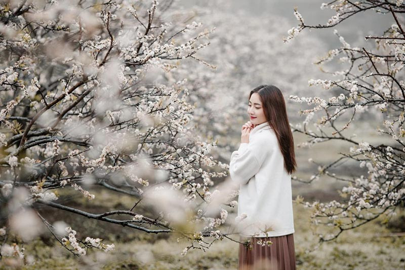  Tuyên Quang: Sắc hoa lê bung nở trắng muốt ở các bản làng. Ảnh Internet