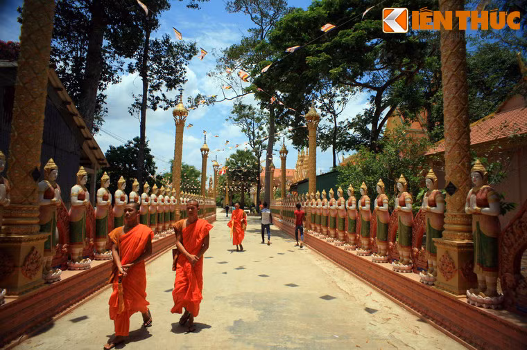 Tọa lạc tại ấp Cây Da, xã Đại An, huyện Tà Cú, tỉnh Trà Vinh, chùa Nodol (còn có các tên khác là chùa Cò, chùa Giồng Lớn) là một trong những ngôi chùa Khmer nổi tiếng nhất khu vực đồng bằng sông Cửu Long.