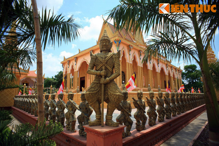 Theo các tư liệu lịch sử, chùa Cò được xây dựng vào năm 1678. Sau nhiều lần trùng tu, lần mới nhất vào năm 2009-2012 thì chùa có diện mạo như hiện tại, với dáng vẻ bề thế và lộng lẫy khiến du khách đến thăm không khỏi choáng ngợp.