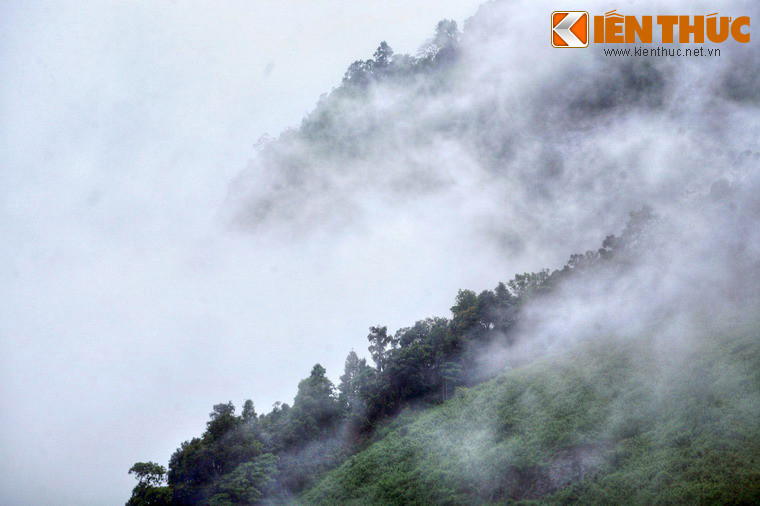 Khi đi vào buổi sáng sớm, du khách sẽ có cơ hội chứng kiến cảnh tượng màn sương mờ bao trùm khiến toàn bộ núi rừng thấm đẫm vẻ huyền ảo.