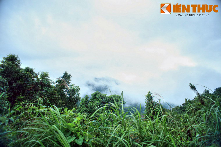 Trong 200 ngày đêm dùng cuốc xẻng làm đường giữa chốn rừng thiêng nước độc, nhiều dân phu đã bỏ mạng vì bệnh tật, tai nạn hoặc bị thú dữ ăn thịt, xác của họ bị vùi lấp ở dọc đường thành những nấm đất hoang tàn không mộ chí.