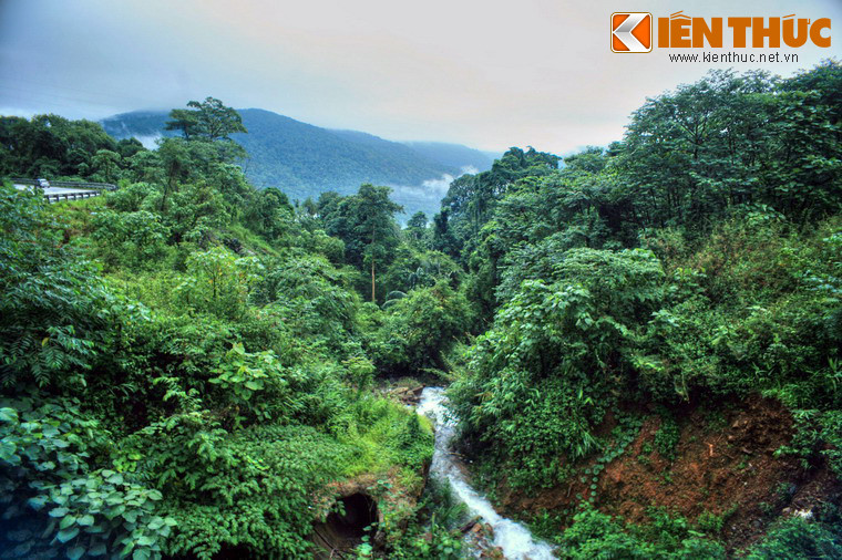 Cảnh sắc thiên nhiên trên đèo rất thơ mộng với nhiều dòng suối nhỏ, vô số loài cây hoa dại đua nhau khoe sắc giữa đất trời…