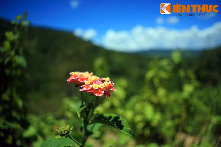 Ngày nay, dấu tích về trận chiến ác liệt đã bị thời gian xóa nhòa, nhưng sử sách sẽ ghi nhớ muôn đời chiến công hiển hách của những chiến sĩ Việt Nam trên đèo Mang Yang hơn 6 thập niên về trước.